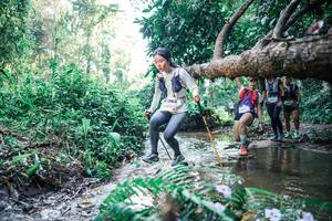 BIB: 
                            <button type="button" onclick="openModal(25446941)" class="btn btn-primary btn-sm float-right btn-popup" data-toggle="modal" data-target=".modal-high-quality">
                        <i class="fas fa-shopping-cart"></i> Add to Cart
                    </button>
                                            <button type="button" onclick="isThisMe(25446941, true)" class="btn btn-success btn-sm float-right btn-popup btn-isme hidden" data-toggle="tooltip" data-placement="bottom" title="นี่คือรูปของคุณใช่ไหม คลิกที่นี่เพื่อเอาเข้าอัลบั้ม">
                        <i class="fas fa-plus"></i> Add to album
                    </button>
                    <button type="button" onclick="isThisMe(25446941, false)" class="btn btn-warning btn-sm float-right btn-popup btn-isnotme hidden">
                        <i class="fas fa-ban"></i> Remove from album
                    </button>